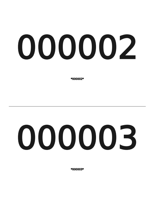 Wydruk numerów własnych palety